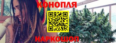 стаф Волгодонск