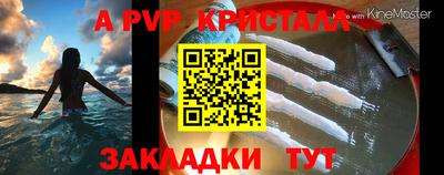 стаф Волгодонск
