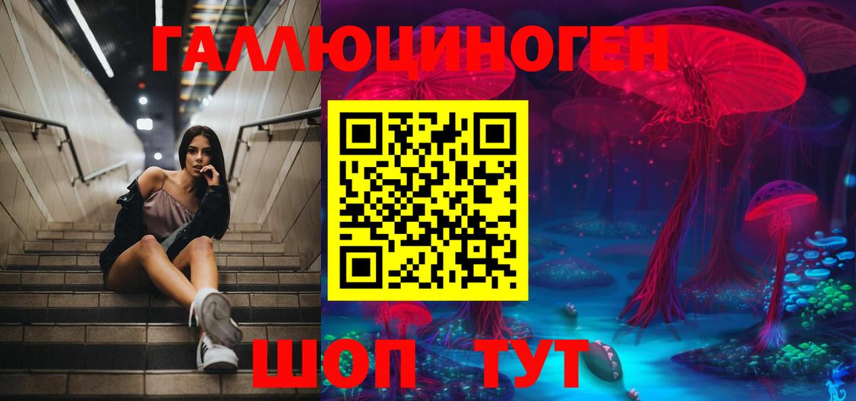 Междуреченск  Псилоцибиновые грибы Magic Shrooms  Вход с VPN 